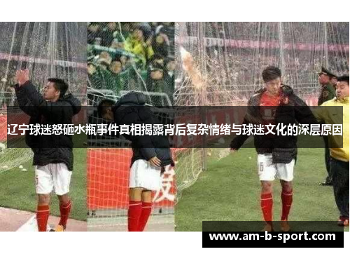 辽宁球迷怒砸水瓶事件真相揭露背后复杂情绪与球迷文化的深层原因